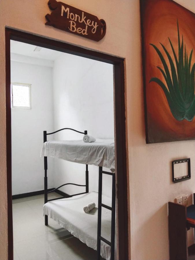 Aloevera Villa Negombo Extérieur photo